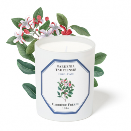 TIARE Candle - GARDENIA...